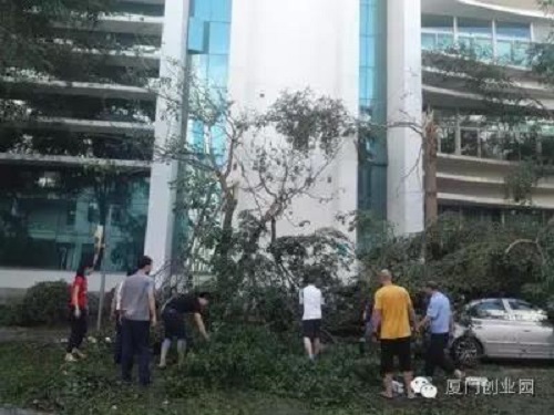 创业中心迅速帮助企业灾后自救